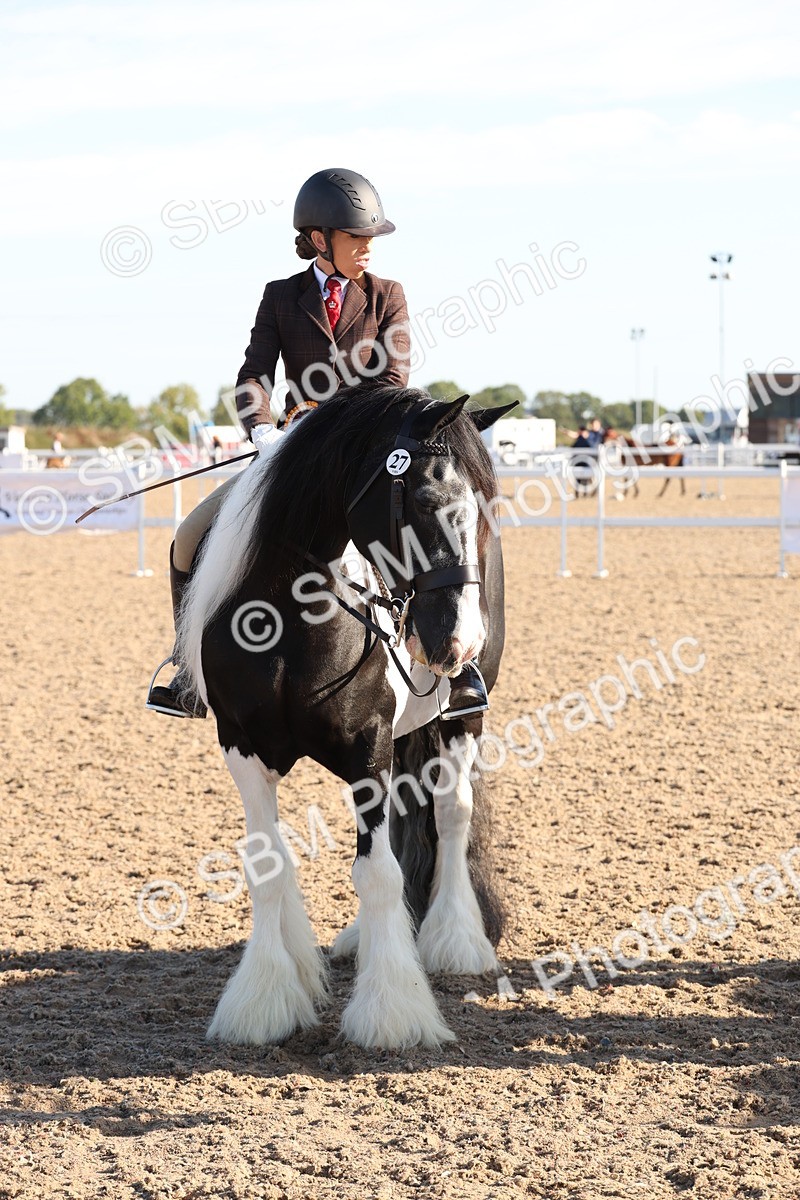 SBM_10875 - Class 202 - Best Turned Out - Ridden