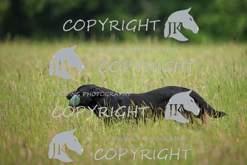 2R6A8497 - 31 Moira