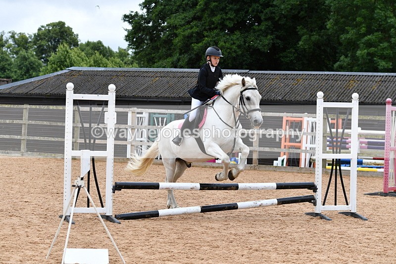 WJ5_6322 - Club 50cm