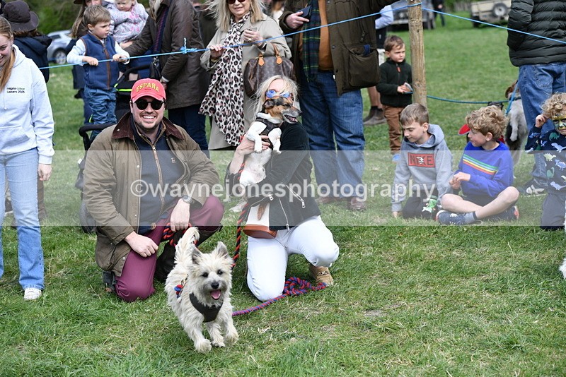 WJ5_0541 - Class 7 Best Terrier