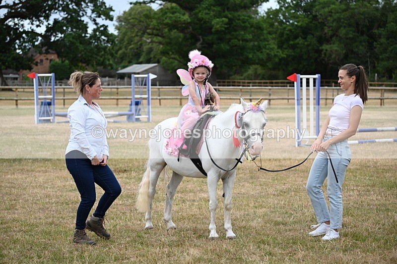 WJ6_4977 - Class 11 Fancy Dress