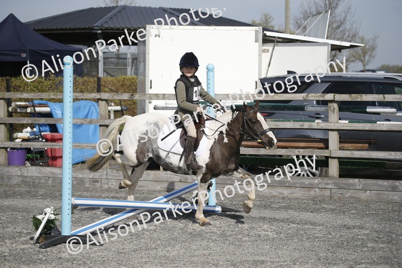 20250412-0254 - Show Jumping