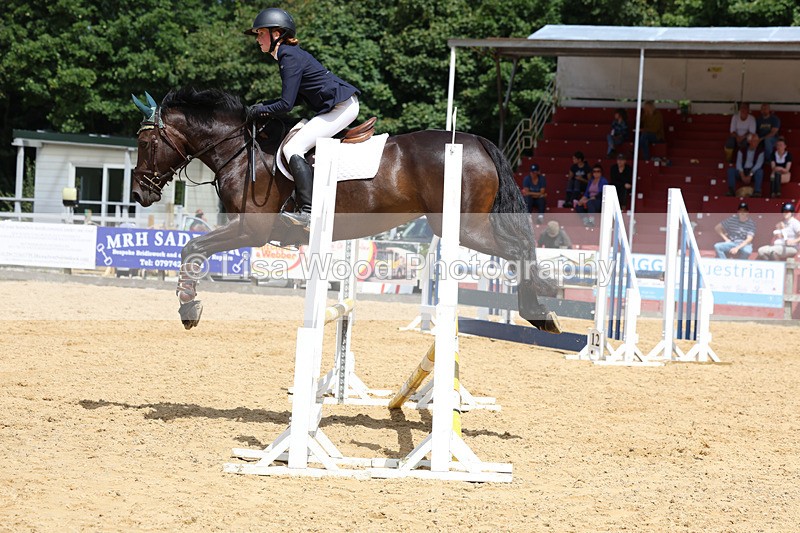 3E7A0300 - Class 9: Senior British Novice/90cm open