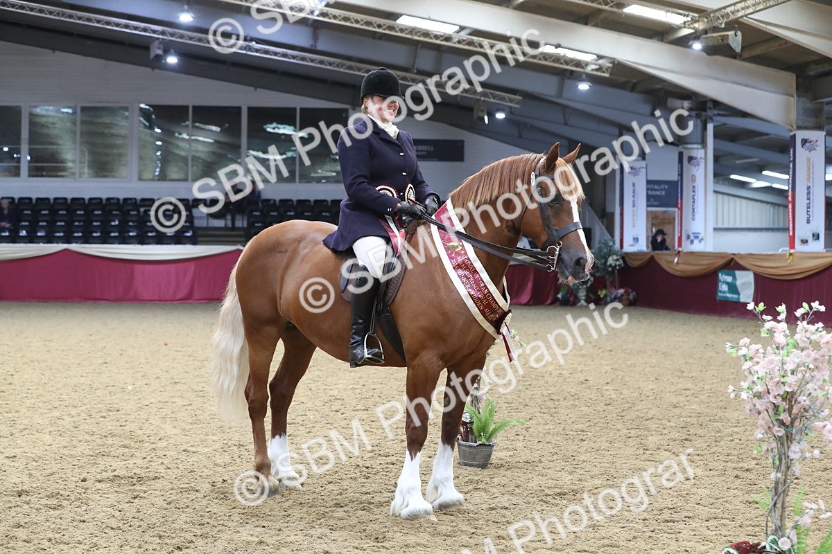 SBM_16534 - Class 502 M&M Ridden Supreme Final