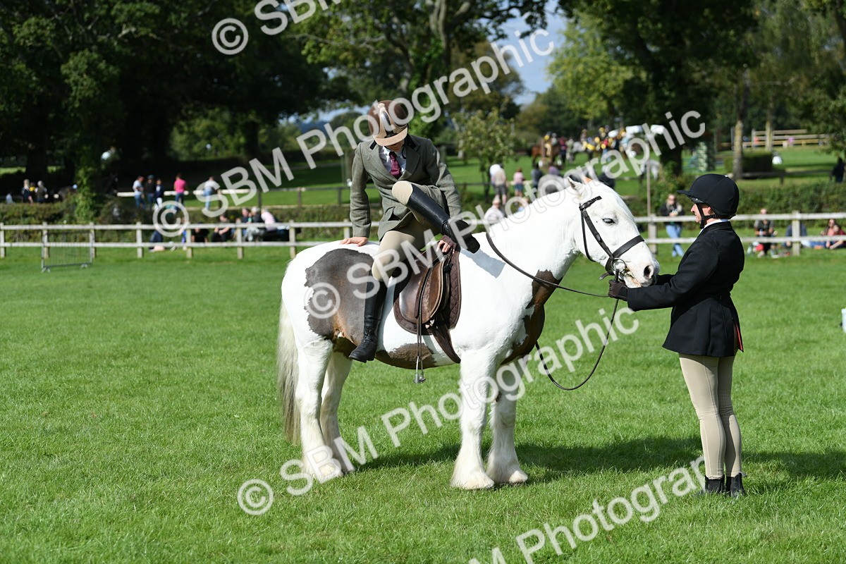 SBM_47028 - S12 - Family Horse & Pony