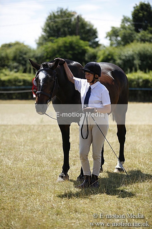 _C7A0162 - In Hand Championship BVRC Show 2018