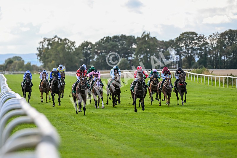 140926-Race 2-Bladey Lady-6782 - Race 2 2.51pm Patrick Hibbert-Foy Memorial Nursery Handicap