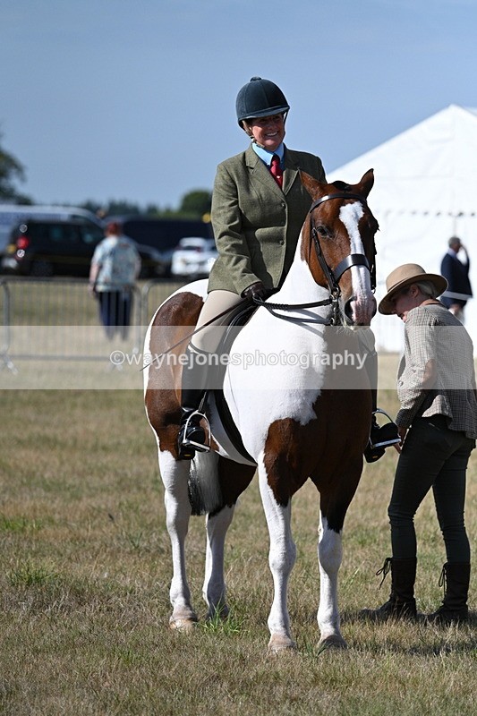 WJ7_2739 - Class 8 Ridden Tack & Turnout