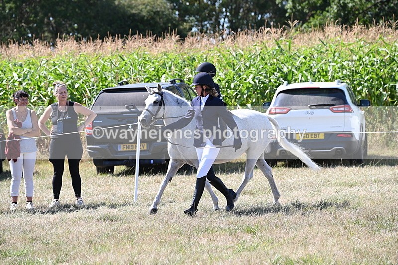 WJ6_8010 - Class 36 Lead Rein