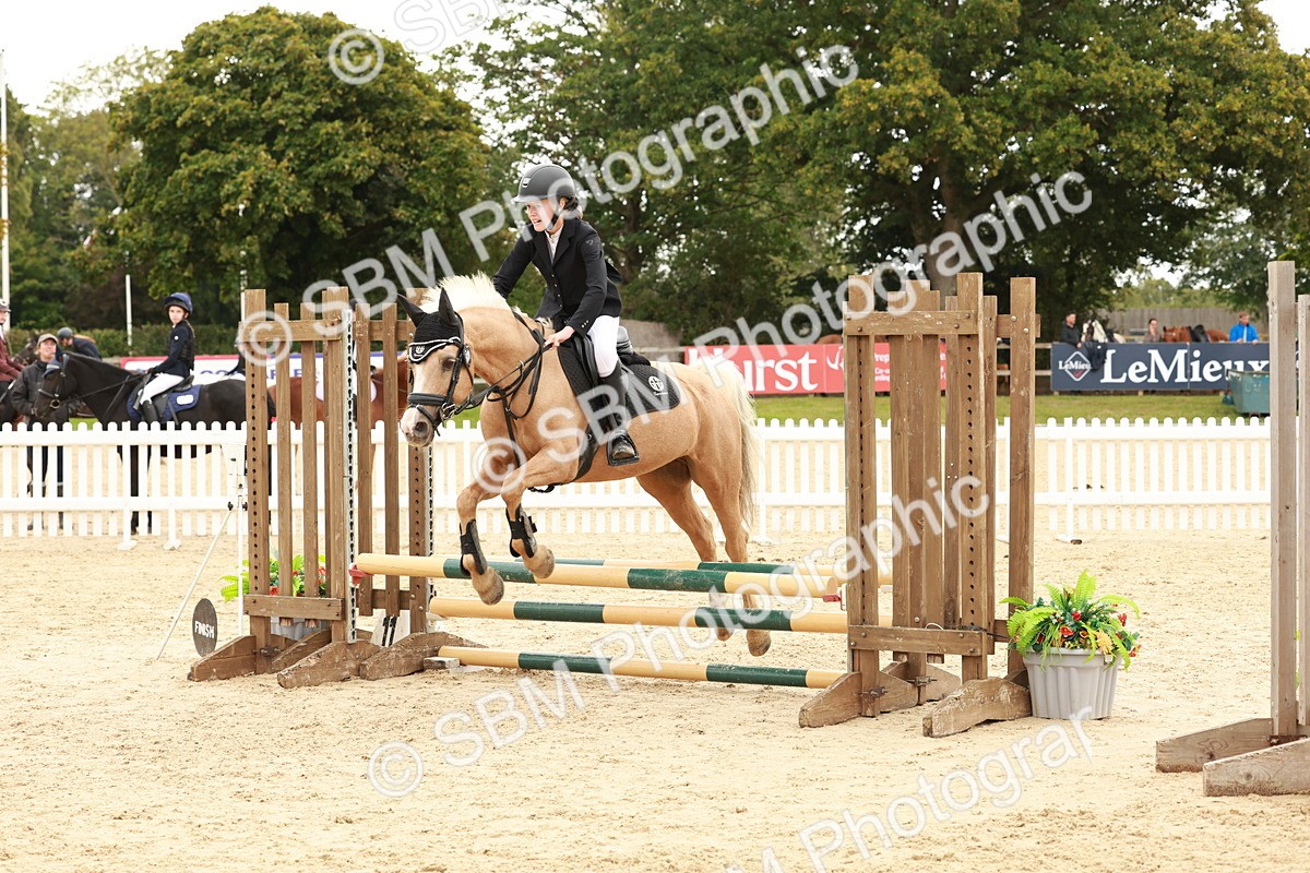 SBM_63740 - J12 - Junior Pony 55cm Championship