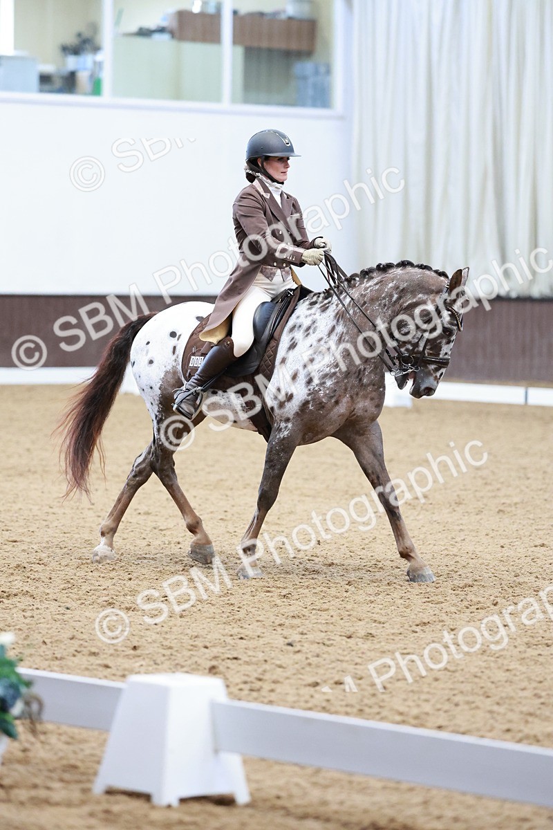 SBM_016557 - Class 5 - FEI INT II - 17.24-18.20