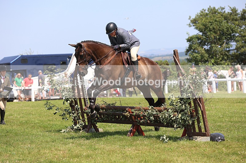 JPP_3014 - Class 22: Working Hunter 70cm