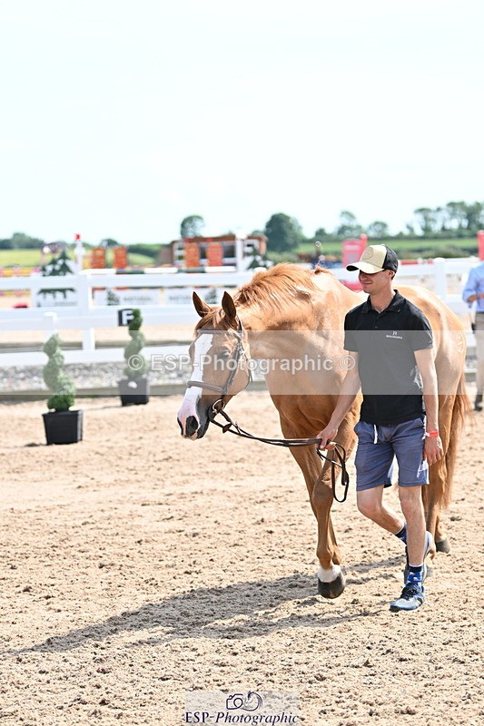 240717A-153355-02883 - Trot Up 3pm to 4pm