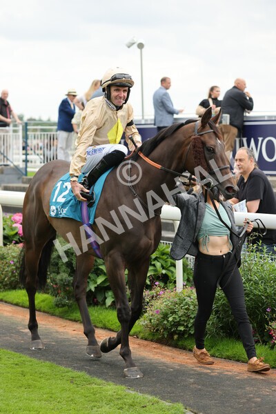 yr04092022r2-7 - Race 2 2.20pm John and Judith Marshall Memorial Stakes