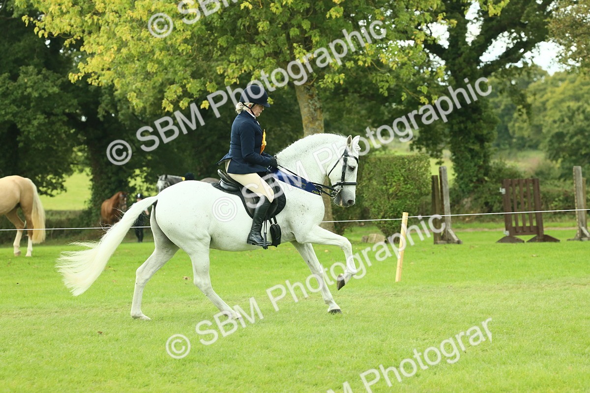 SBM_62557 - S62 - Foreign Breeds Ridden