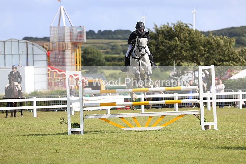 3E7A3473 - Class B: Showjumping Accumulator