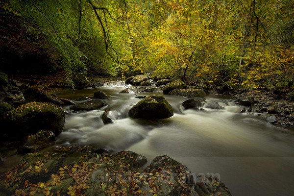 Autumn colours, Aberfeldy - General