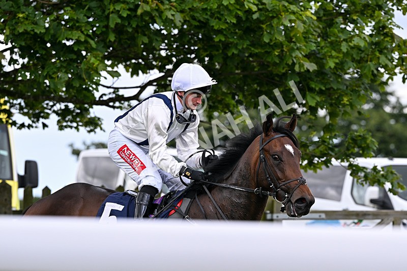 040726-Race 1-Palm Reader-3089 - Race 1 14.17pm Rob Over The Hill EBF Maiden Stakes