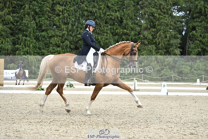 230812-143950-04757 - Cls 7 FEI PSG Bronze