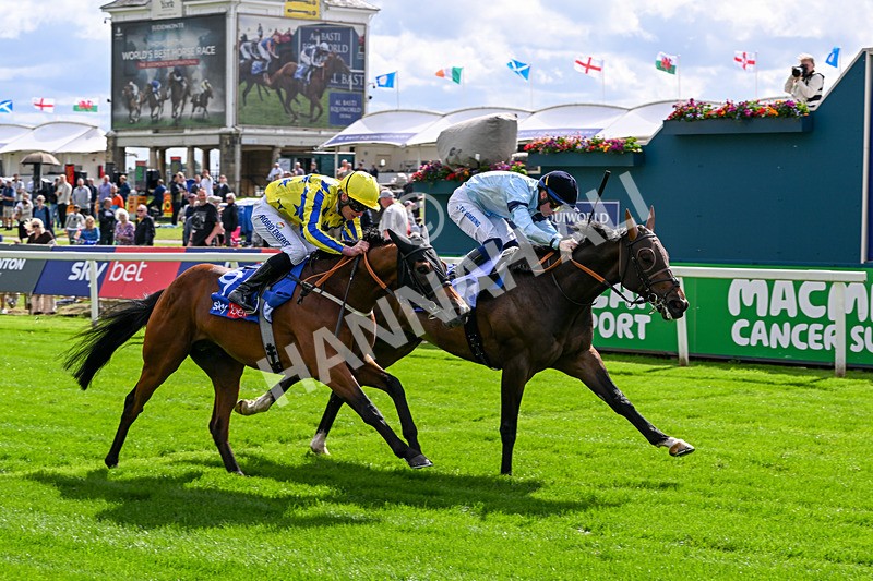 120626-Race 5-Antipodes-7844 - Race 5 16.10pm Sky Bet The World's Gone Football Handicap