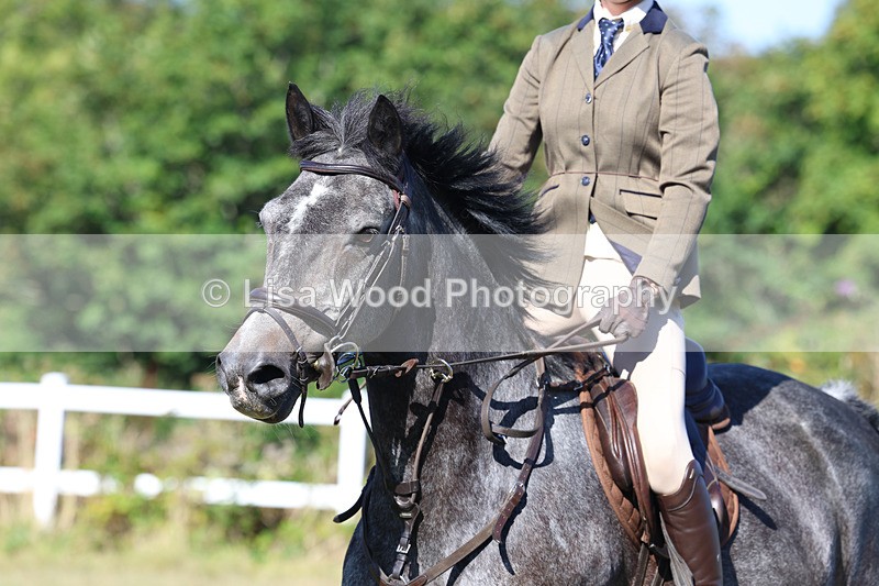 3E7A5517 - Class 3: Working Hunter 70cm