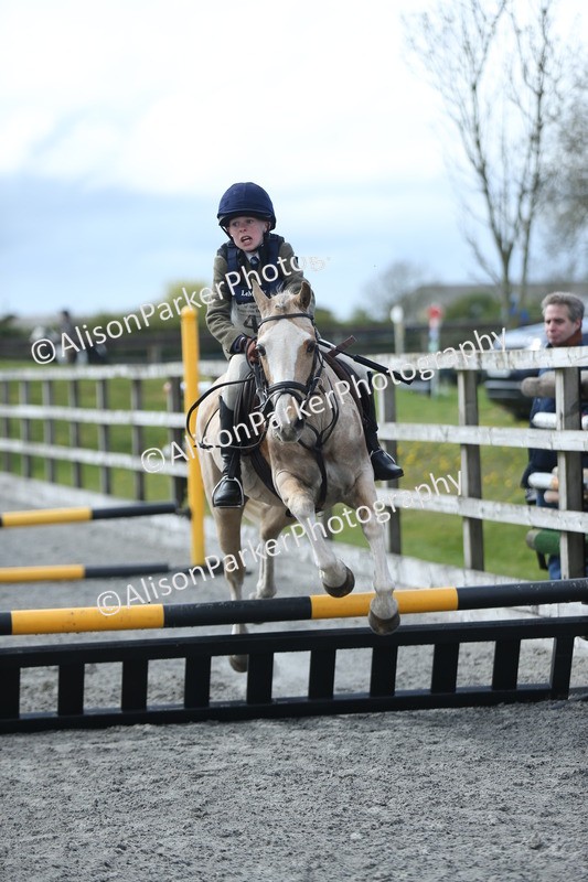 20260412-1773 - Show Jumping