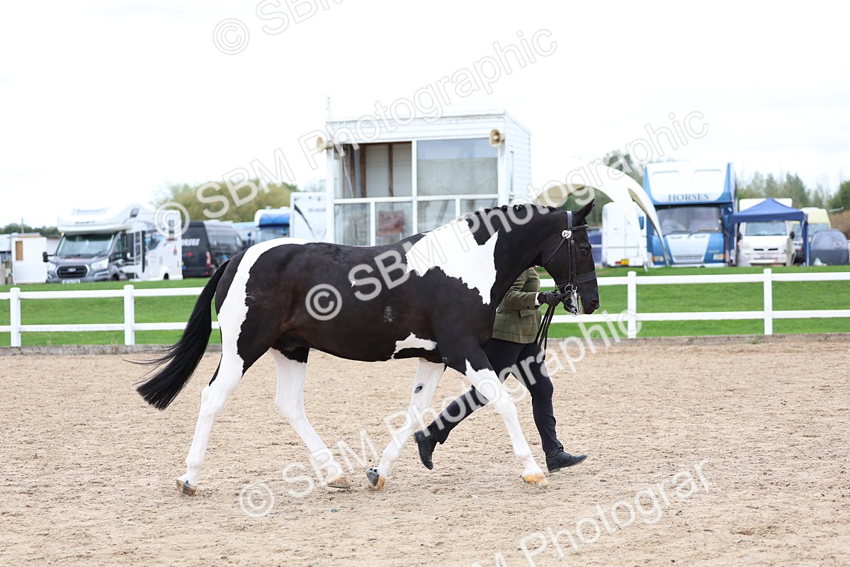 SBM_05101 - Class 27 - IH Competition Horse or Pony