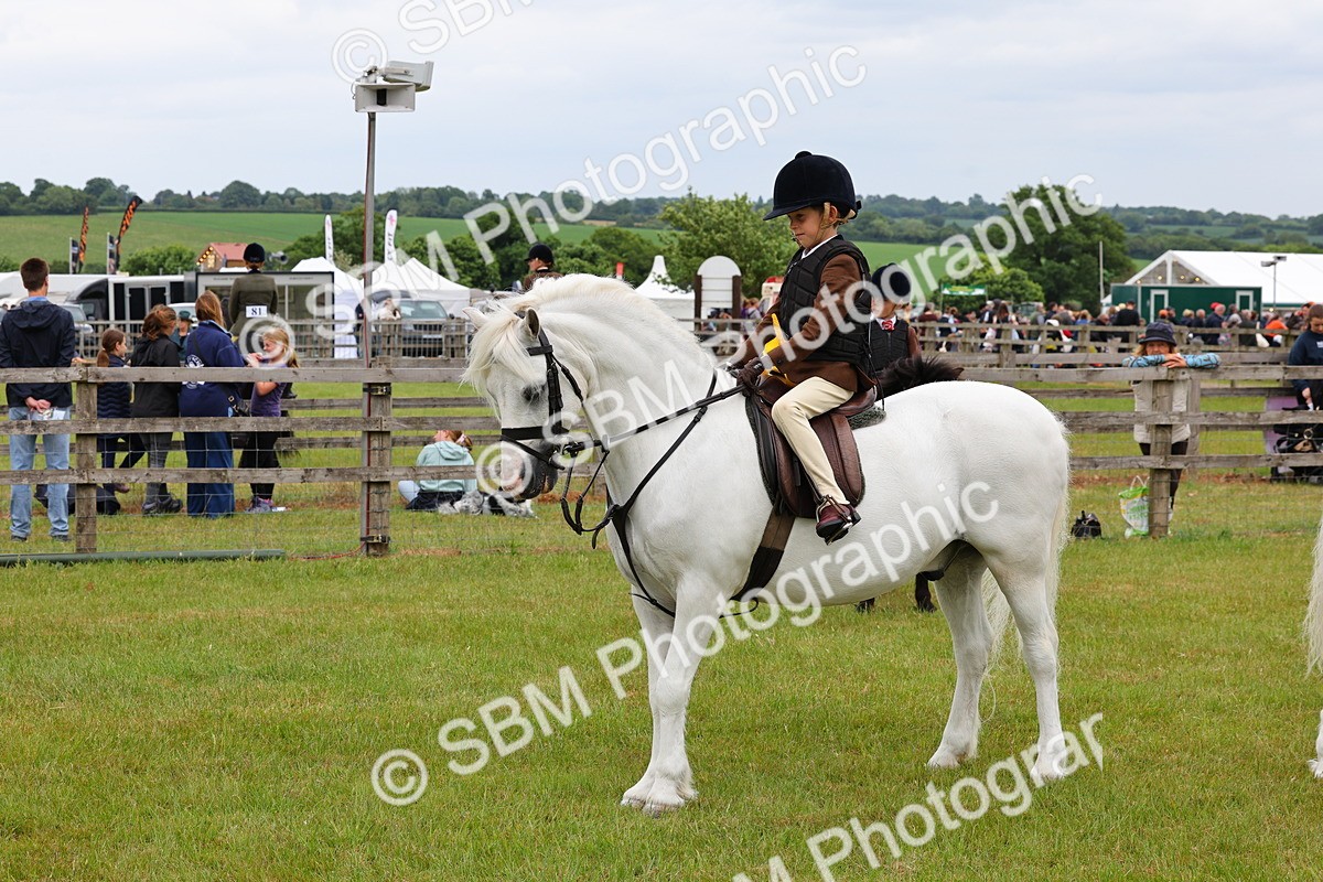 SBM_08857 - Class 42-43 - LIHS BSPS Heritage Working Sports Pony