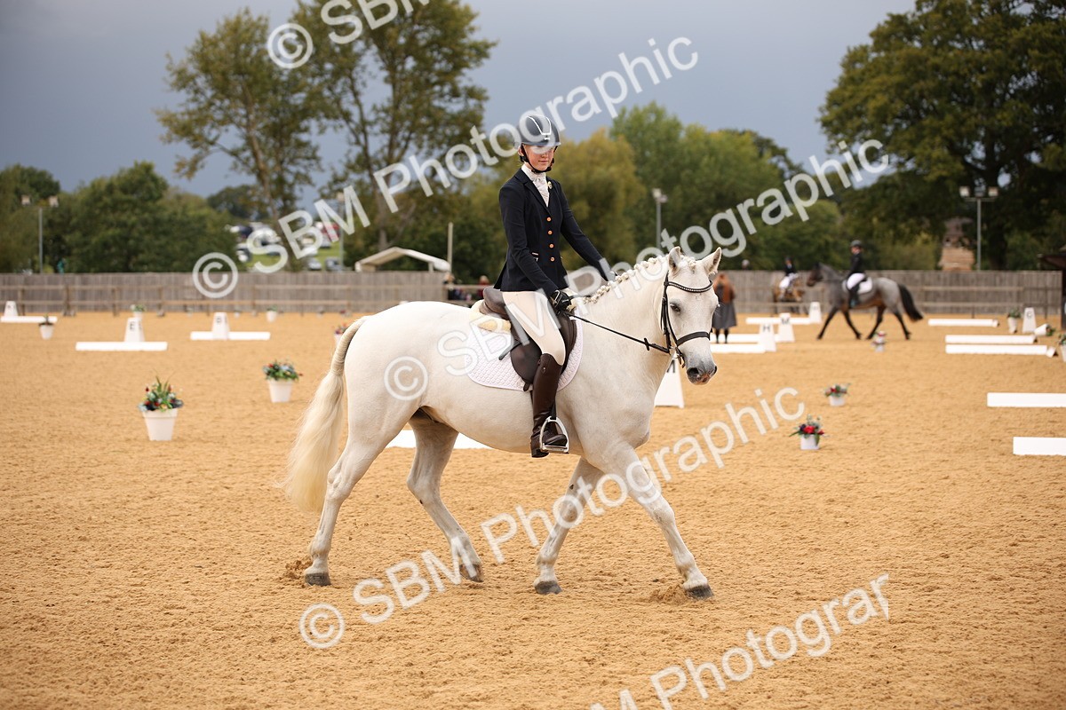SBM_12244 - D3 Small  Tour Championship Intro A