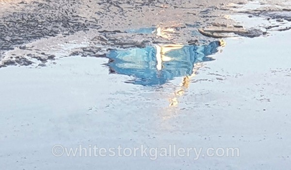  - NEW Winter Reflection