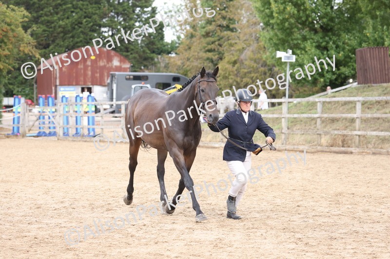20260831-1942 - Class 5 - Retraining of Racehorses