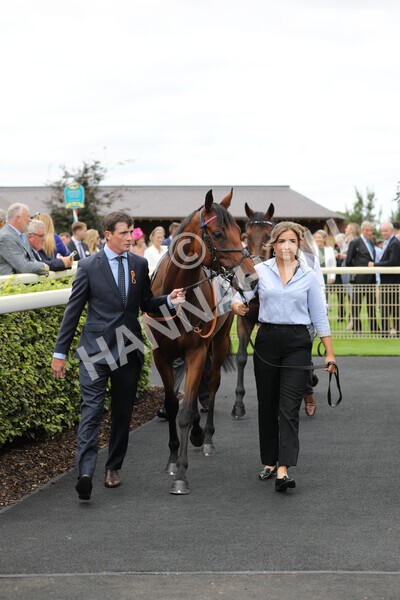 yr17082022r4-4 - Race 4 3.35pm Juddmonte International Stakes (British Champions Series Race)