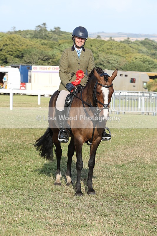 JPP_3402 - Class 22: Working Hunter 90cm