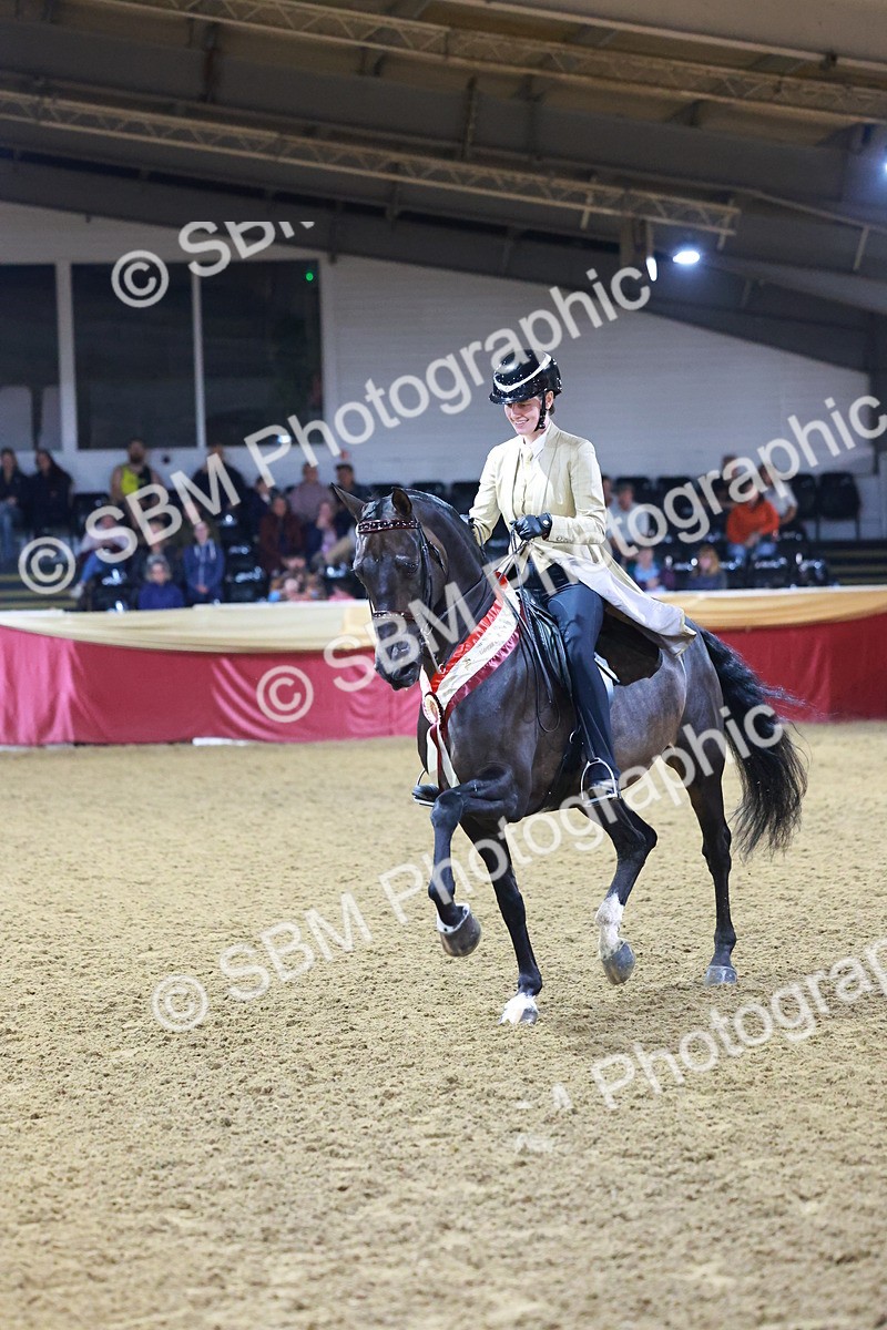 SBM_15578 - Class R - Veteran Champ