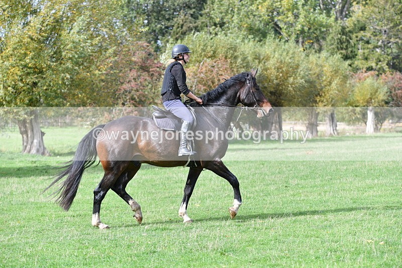 WJ5_0081 - Time 13:25 to 13:58