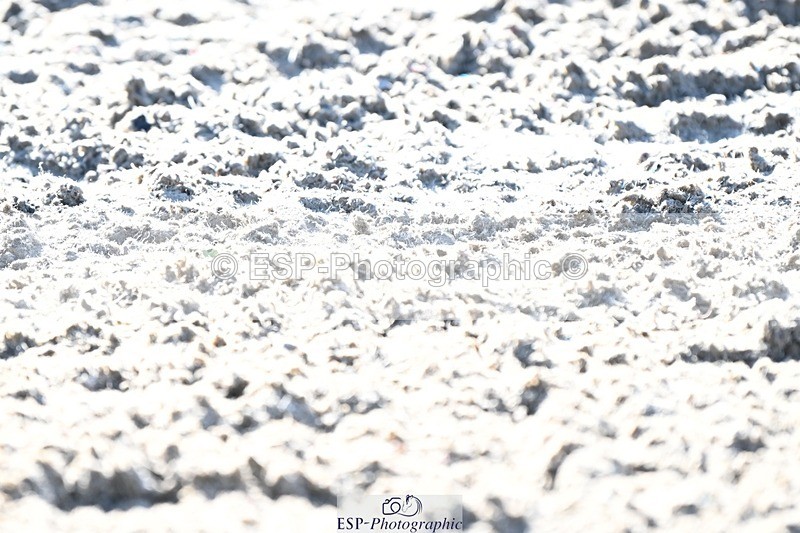 231110-113255-00456 - Cls 2 Prelim 17(a)Q