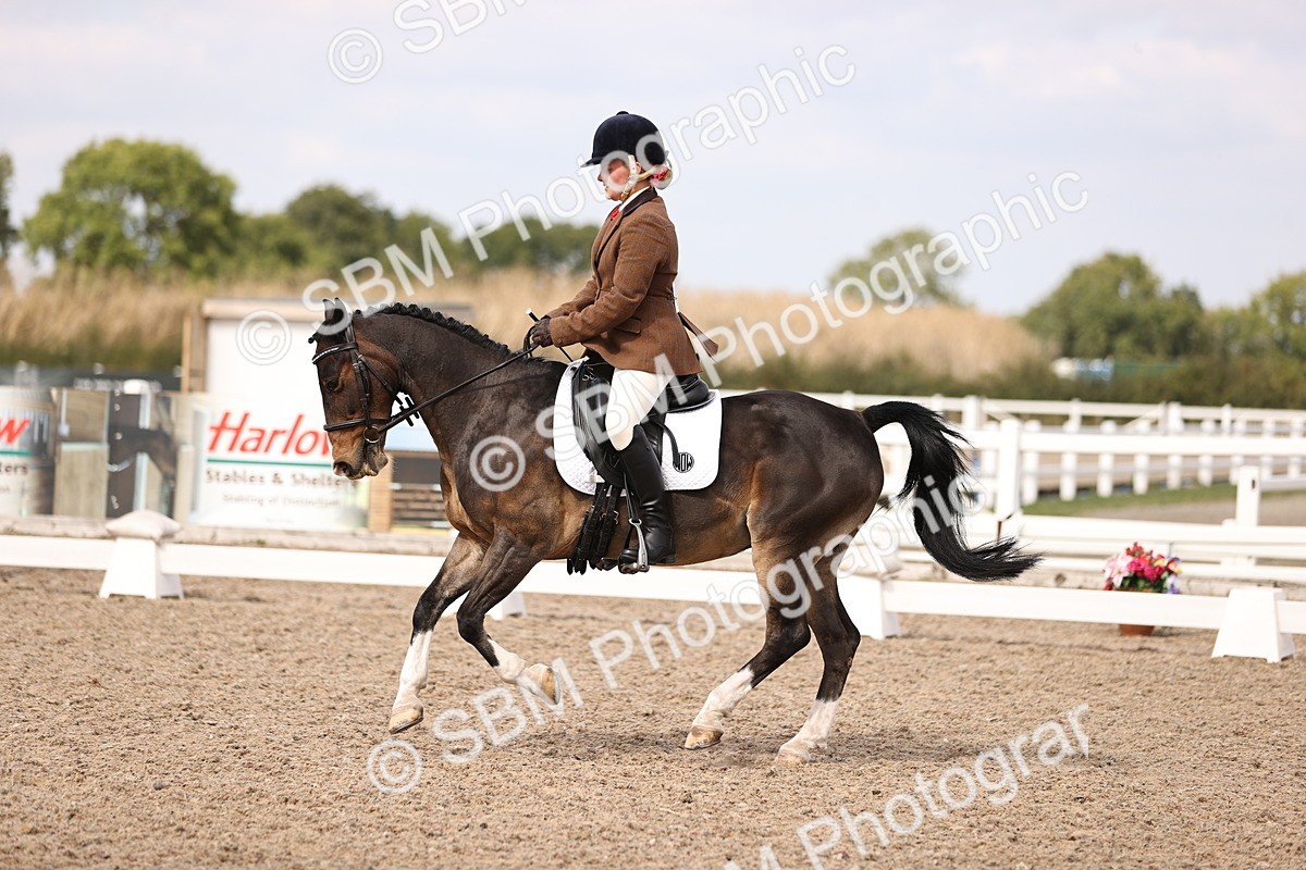 SBM_06070 - Class 37 Novice 5