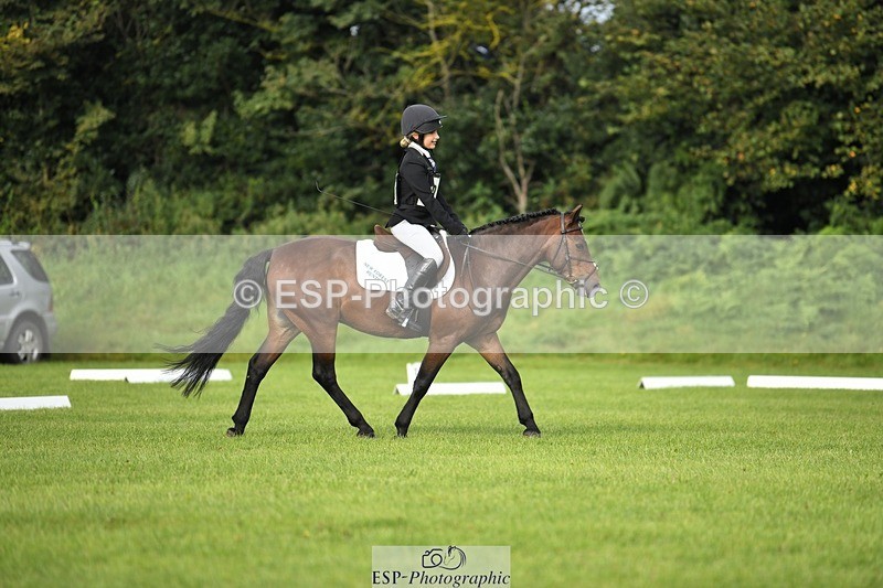 230826-090647-15035 - Sections C & D 9 to 10am