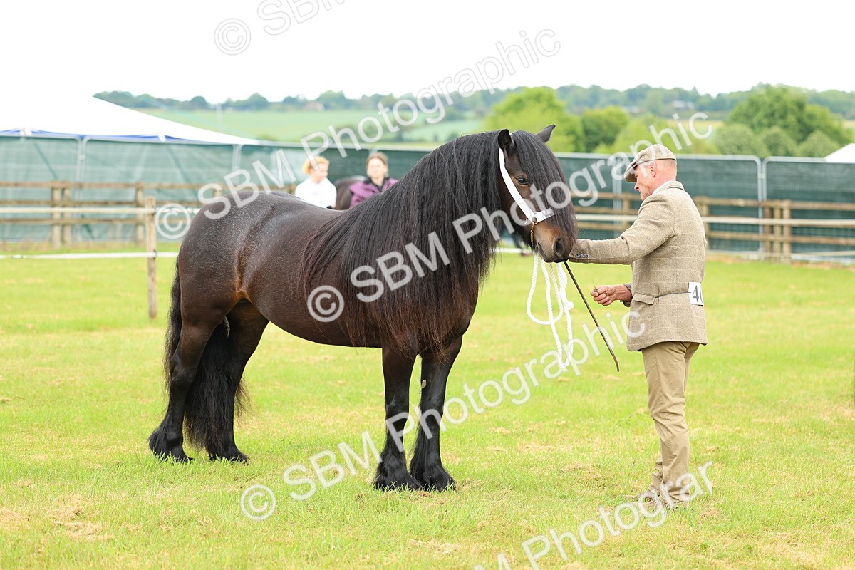 SBM_00543 - Class 58-67 - M&M Non Welsh Pony In hand