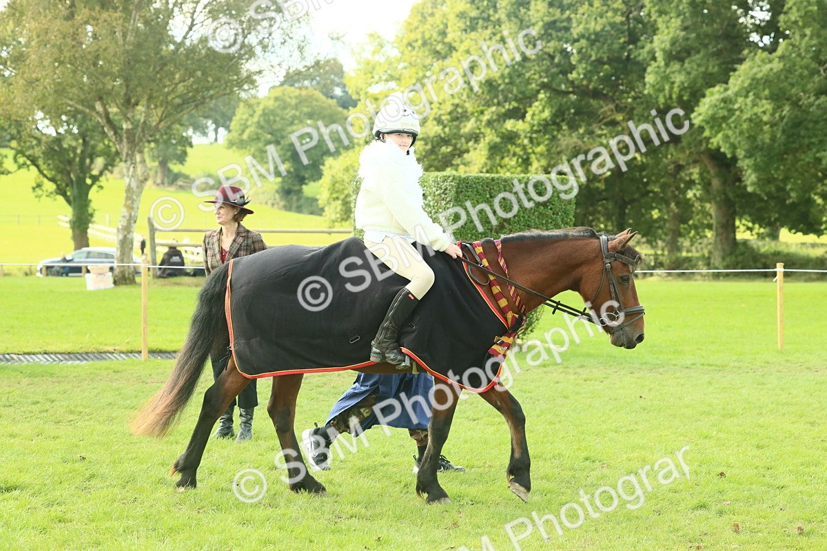 SBM_63499 - S35 - Fancy Dress Showing