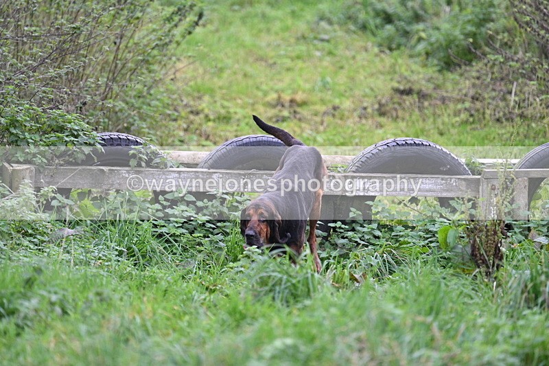 WJ7_8971 - Camera 1 only on this line