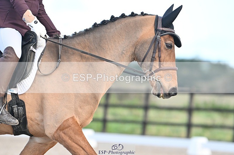 231105-132249-01275 - Cls 7 Prelim 13