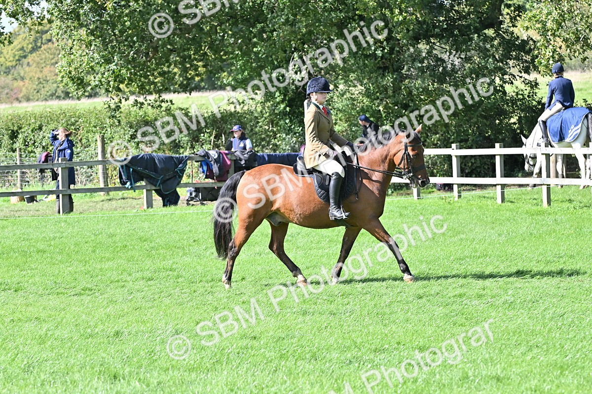 SBM_44579 - S13 - Pony Club Pony