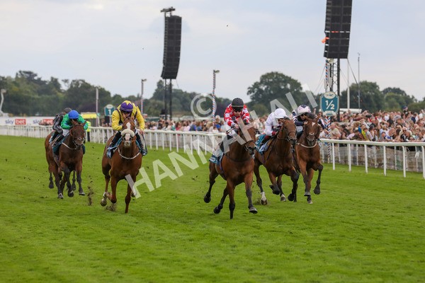 270724-Race 6-Ziggy-4794 - Race 6 5.10pm Sky Bet, For The Fans Handicap
