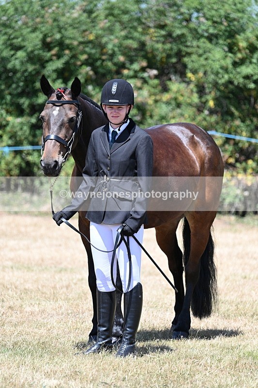 WJ7_2346 - Class 5a Most Handsome Gelding in hand (above 14.2hh)