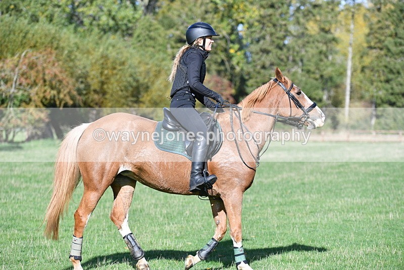 WJ5_7709 - Time 10:31 to 12:01