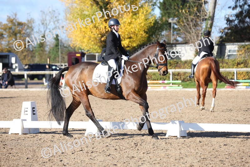 20251102-0879 - Class 5 - Elementary 5