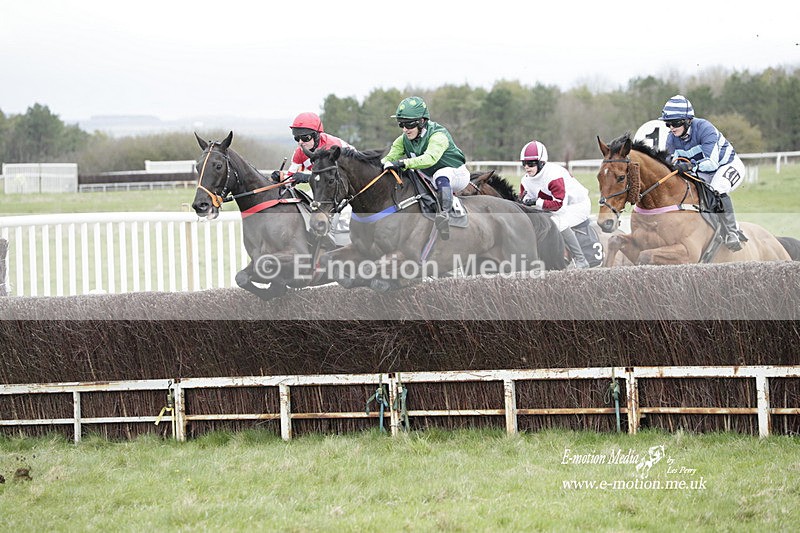 PtP 260323 0465 - New Forest Hounds Point-to-Point Larkhill 26/03/23