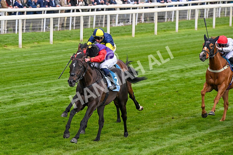 150526-Race 7-Portcullis-0407 - Race 7 5.15pm Darley EBF 'Confined' Novice Stakes