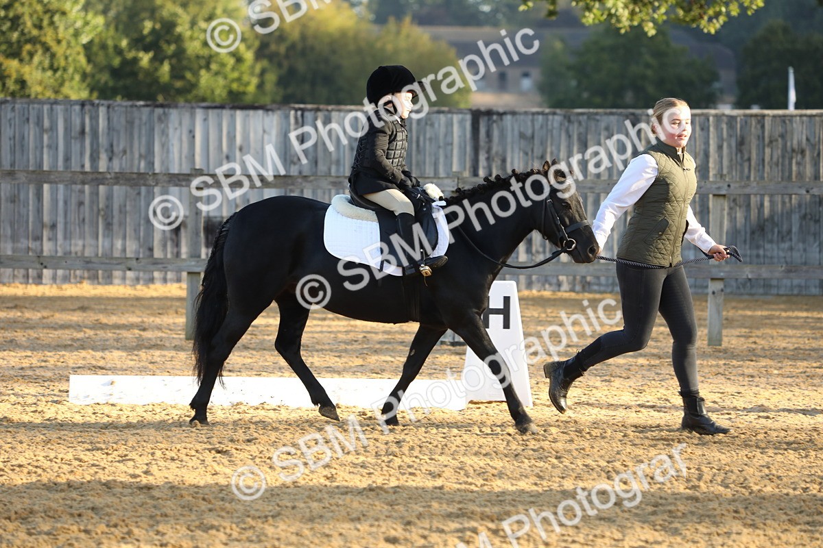 SBM_33569 - D26 - Starers - Lead Rein
